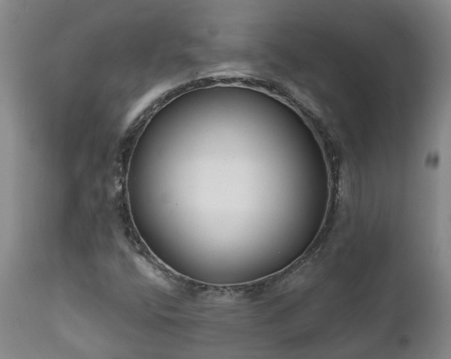 X0000112421400200908211135