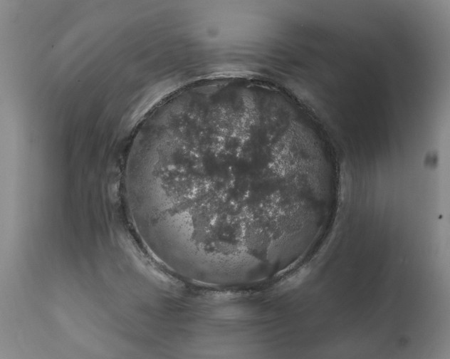 X0000112421401200908211135