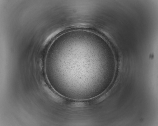 X0000112421402200908211135