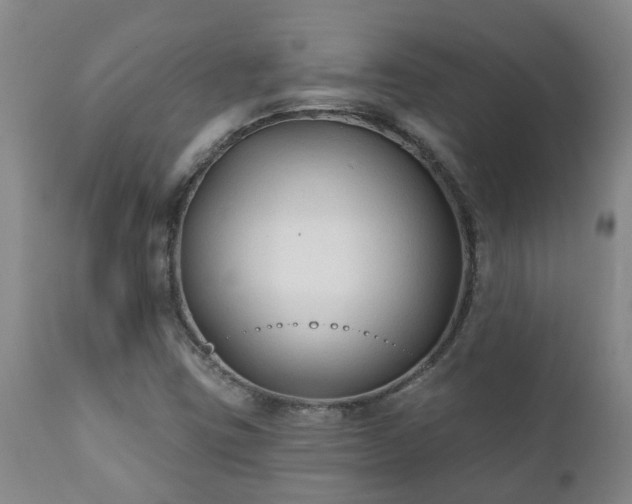 X0000112421403200908211135