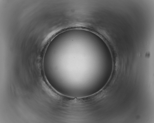 X0000112421404200908211135