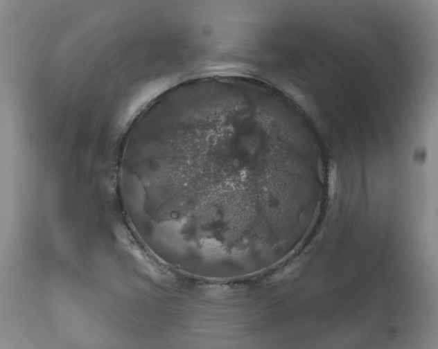 X0000112421405200908211135