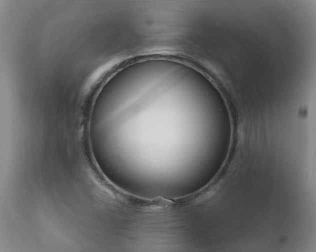 X0000112421406200908211135