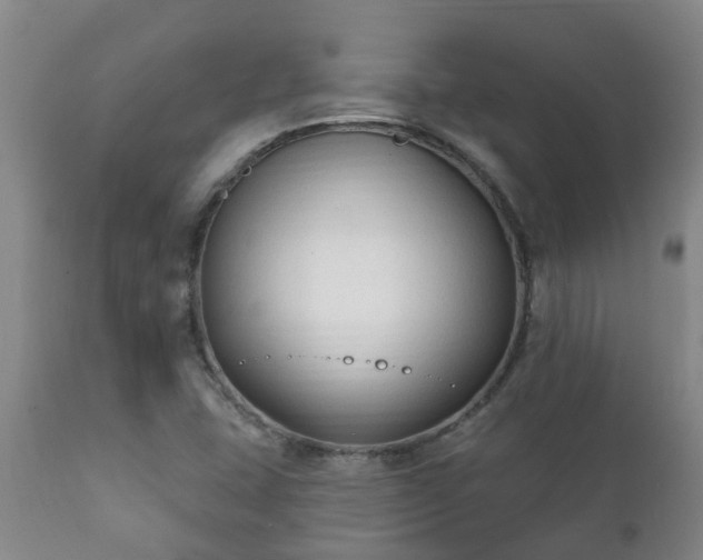 X0000112421407200908211135