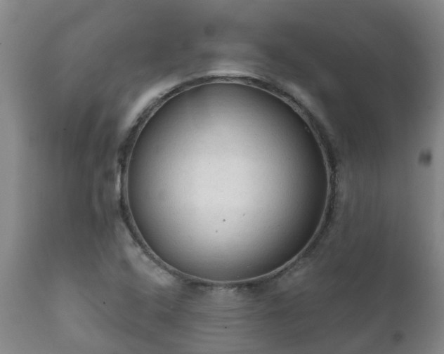 X0000112421408200908211135