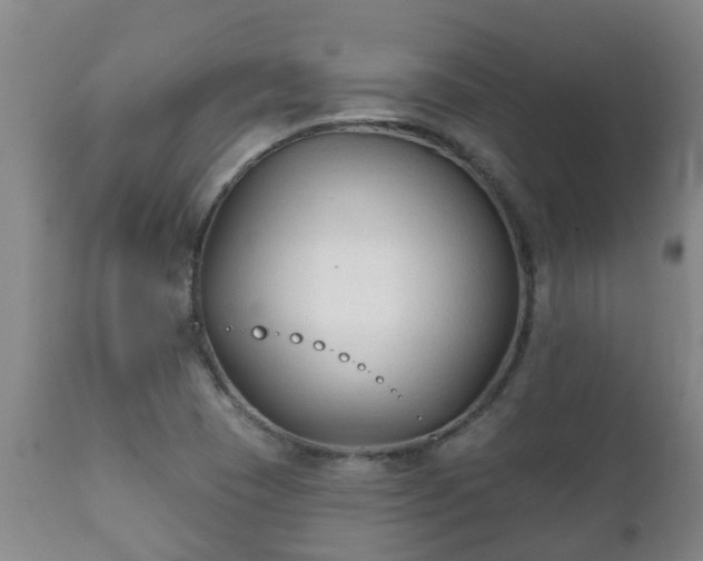 X0000112421409200908211135