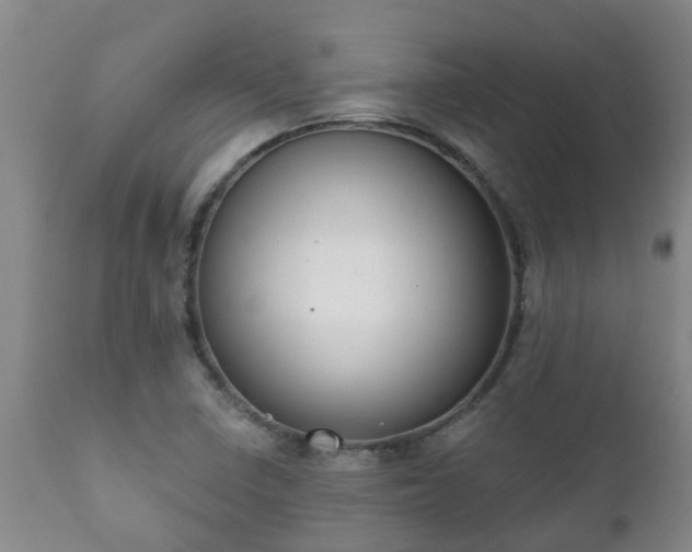 X0000112421410200908211135