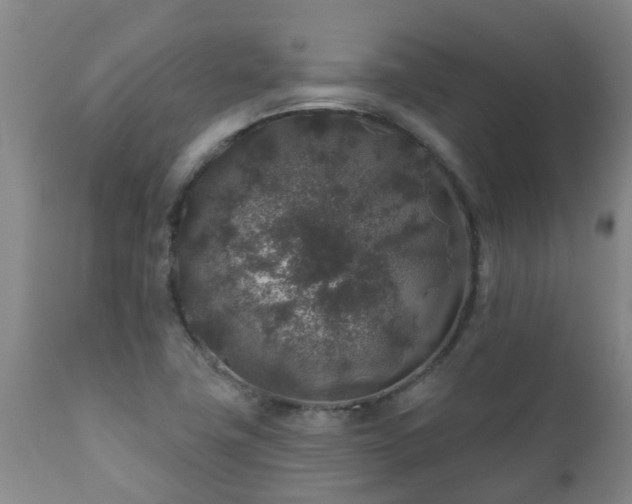 X0000112421411200908211135