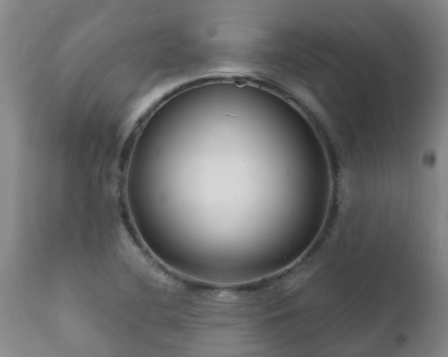 X0000112421412200908211135