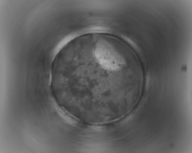 X0000112421413200908211135