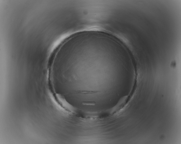 X0000112421414200908211135