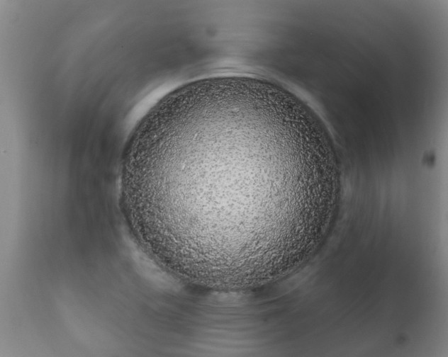 X0000112421415200908211135