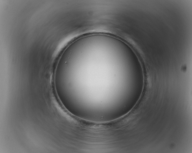 X0000112421416200908211135