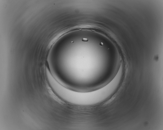 X0000112421417200908211135