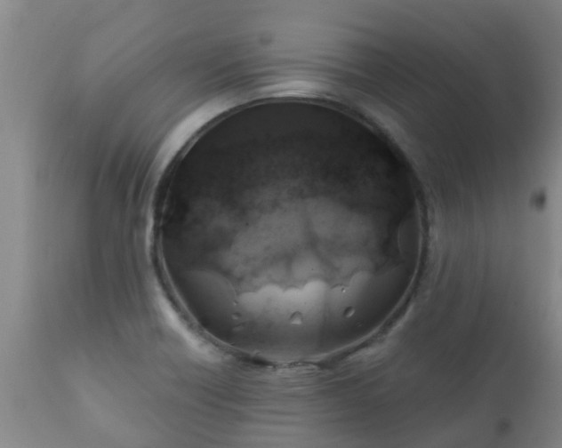 X0000112421418200908211135