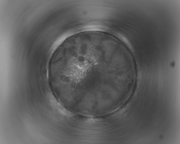 X0000112421419200908211135