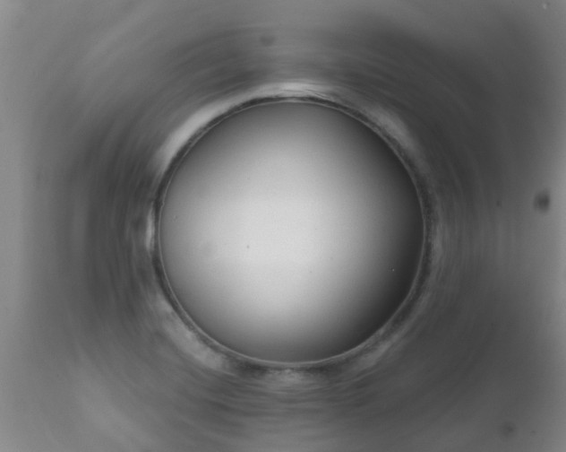 X0000112421420200908211135