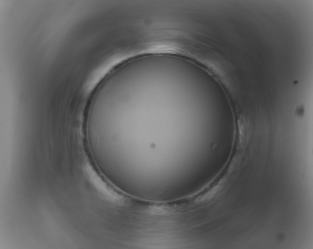 X0000112421422200908211135