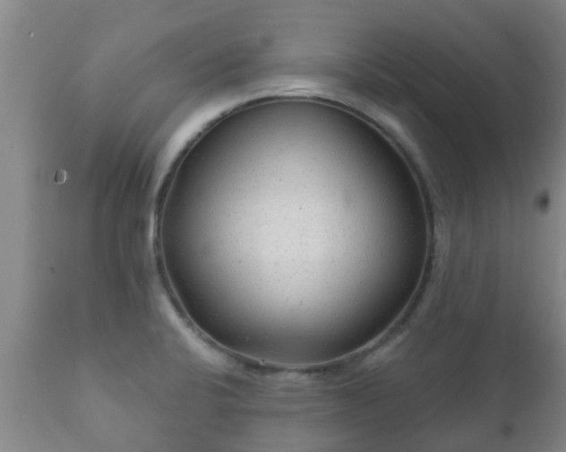 X0000112421424200908211135