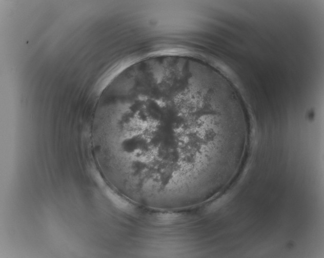 X0000112421425200908211135