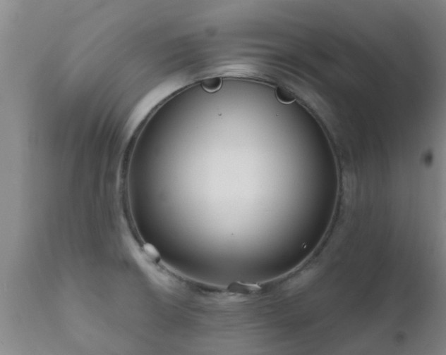 X0000112421426200908211135