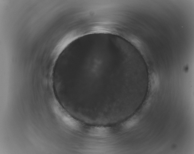 X0000112421427200908211135