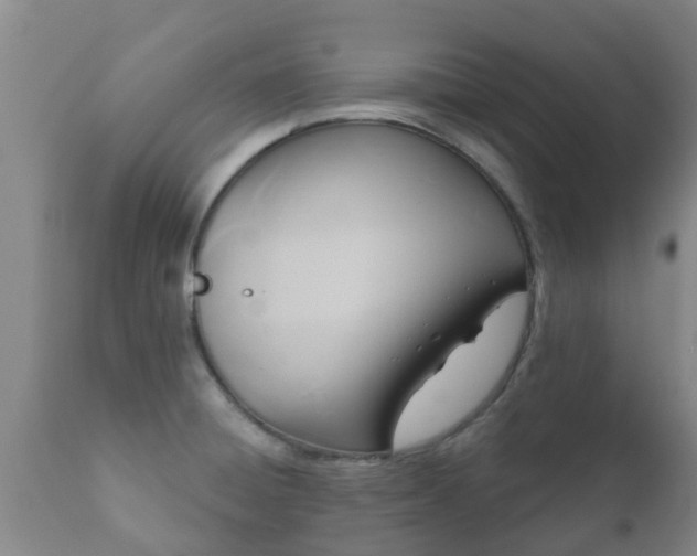 X0000112421428200908211135