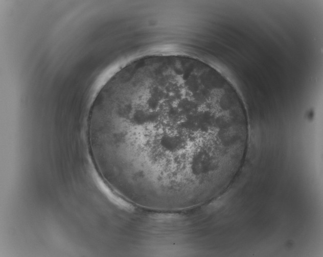 X0000112421429200908211135