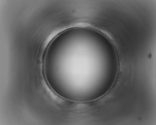 X0000112421430200908211135