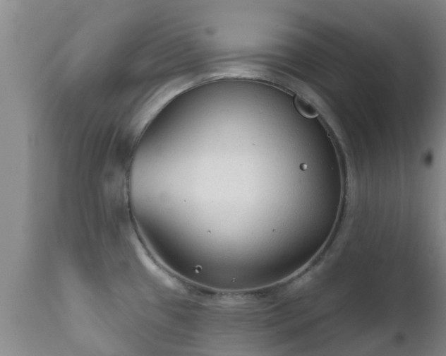 X0000112421433200908211135