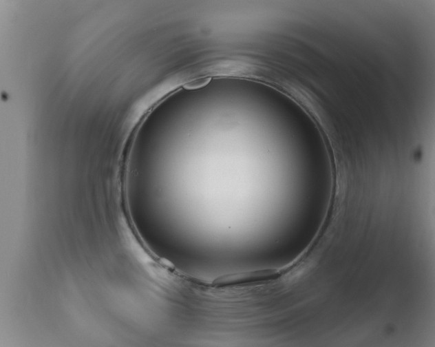 X0000112421434200908211135