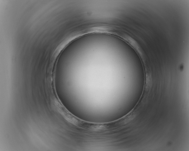 X0000112421435200908211135