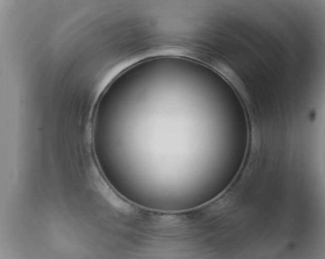 X0000112421436200908211135