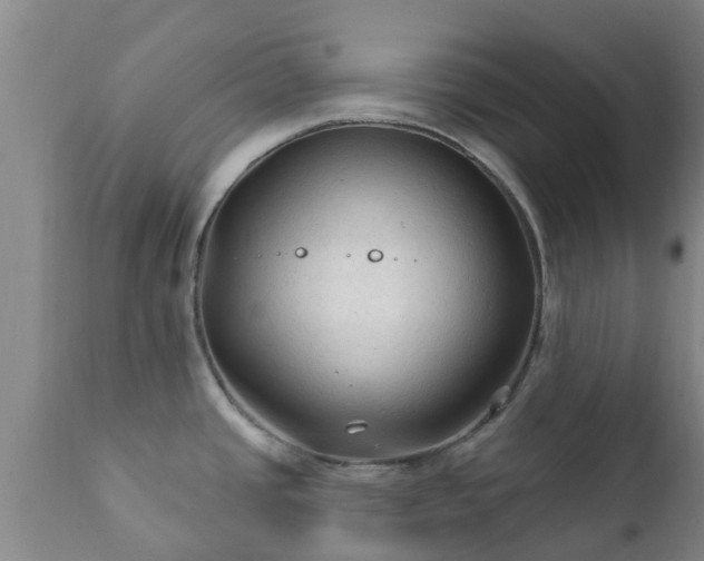 X0000112421437200908211135