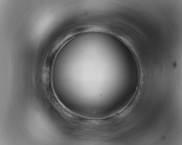 X0000112421438200908211135