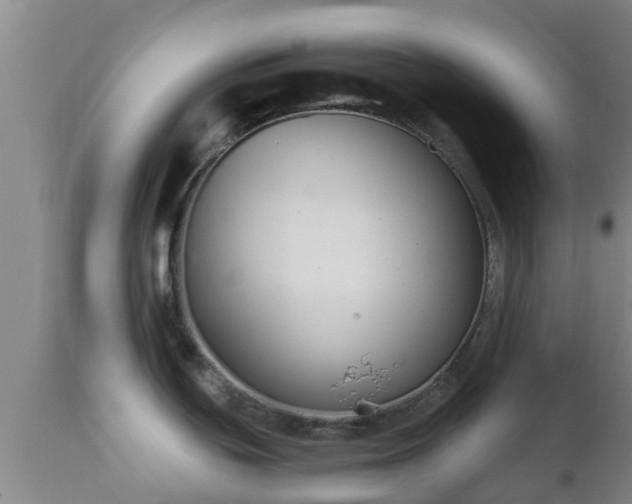 X0000112421439200908211135