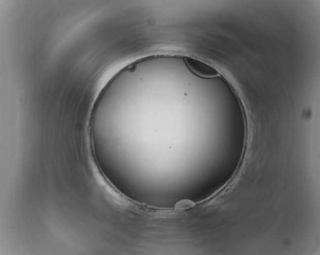 X0000112421440200908211135