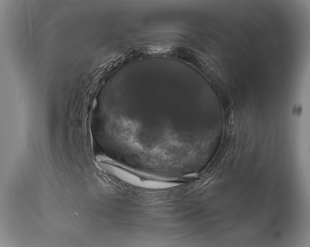 X0000112421441200908211135