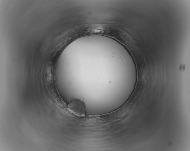 X0000112421442200908211135