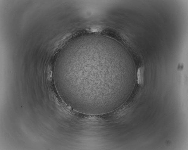 X0000112421443200908211135