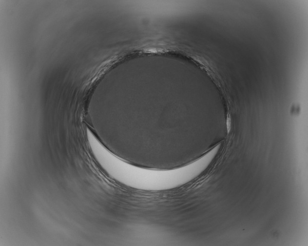 X0000112421444200908211135