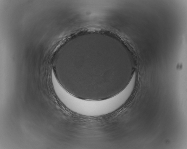 X0000112421445200908211134