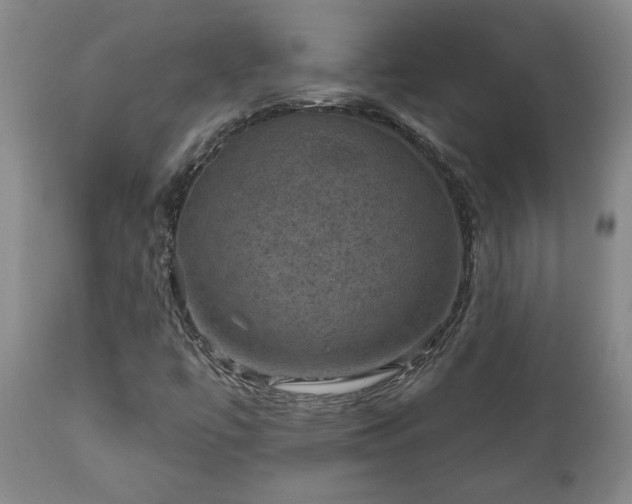 X0000112421447200908211134