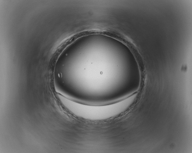 X0000112421448200908211134