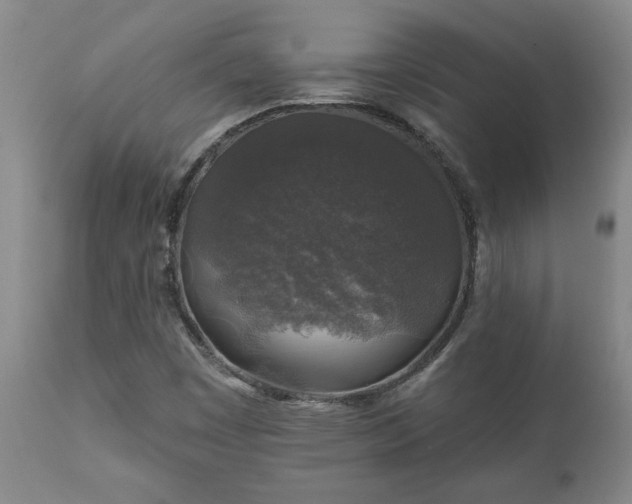 X0000112421449200908211134