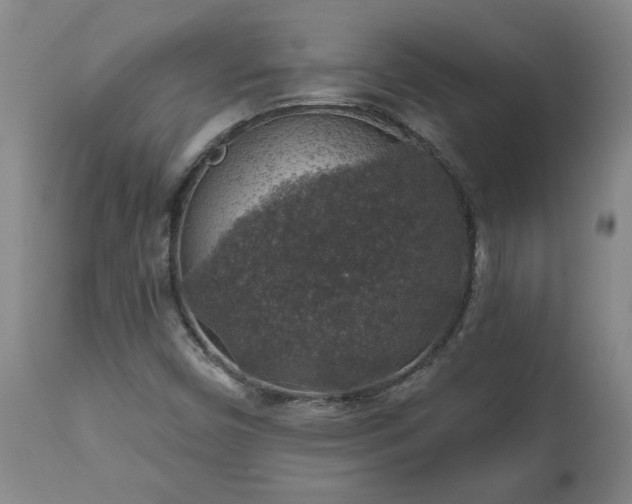 X0000112421450200908211134