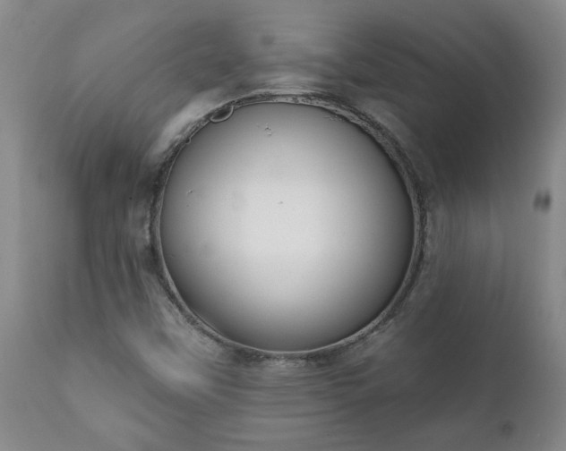 X0000112421451200908211134