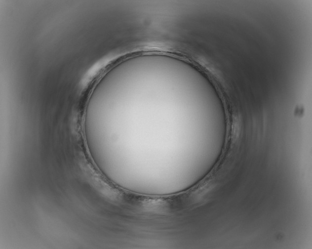 X0000112421454200908211134