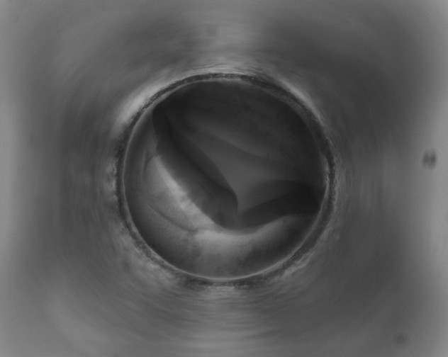 X0000112421455200908211134