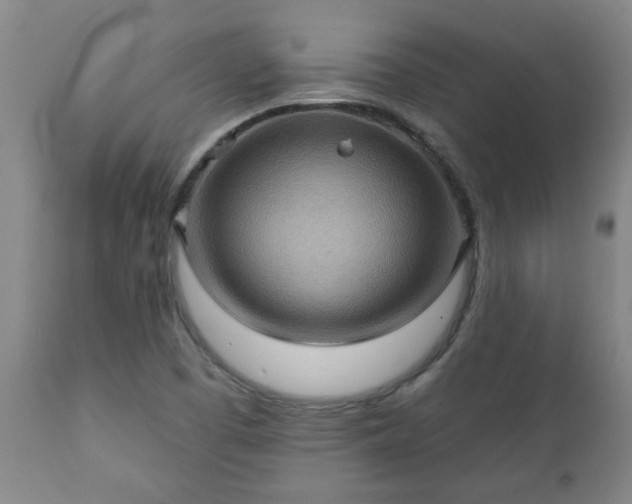 X0000112421457200908211134